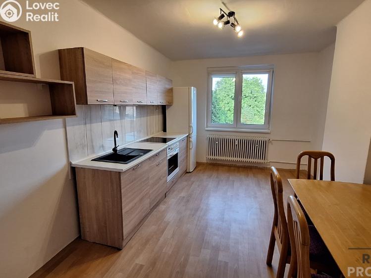 Pronájem bytu 2+1 Ústí nad Labem, Elišky Krásnohorské č. 9
