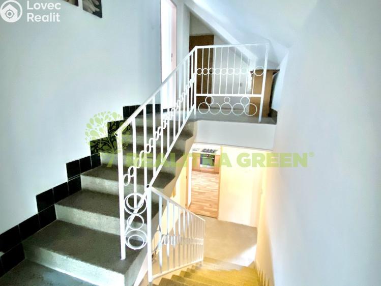 Rent family house Loučka č. 10