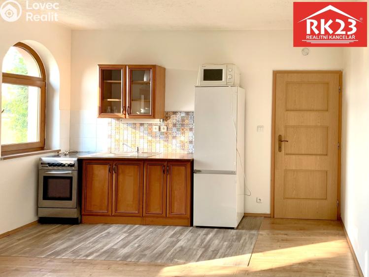 Pronájem bytu 1+KK Drmoul č. 12