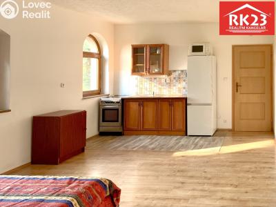 Pronájem bytu 1+KK Drmoul č. 1