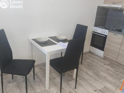 Rent apartment 1+1 Chomutov, 17. listopadu 4562 č. 1