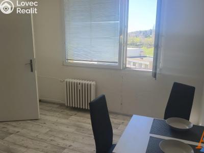 Rent apartment 1+1 Chomutov, 17. listopadu 4562 č. 3