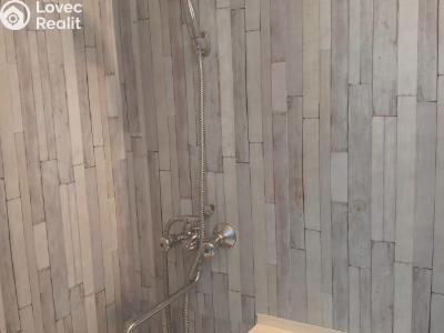 Rent apartment 1+1 Chomutov, 17. listopadu 4562 č. 4