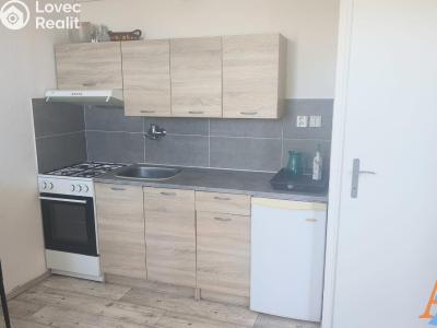 Rent apartment 1+1 Chomutov, 17. listopadu 4562 č. 6