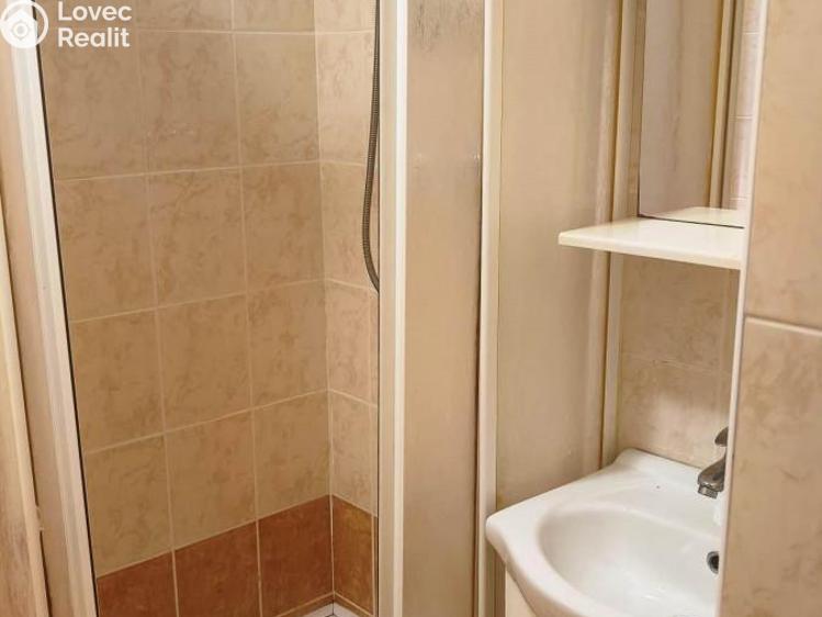 Pronájem bytu 1+KK Chomutov, Kostnická č. 5