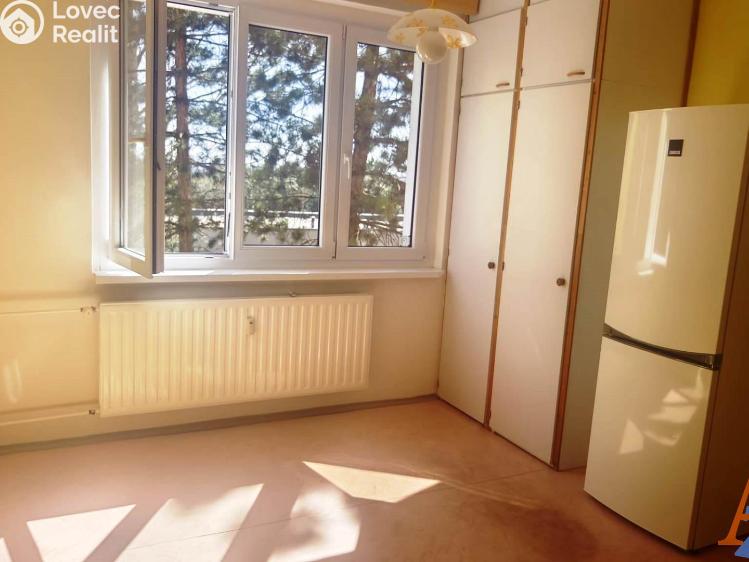 Rent apartment 1+1 Chomutov, Školní pěšina č. 1
