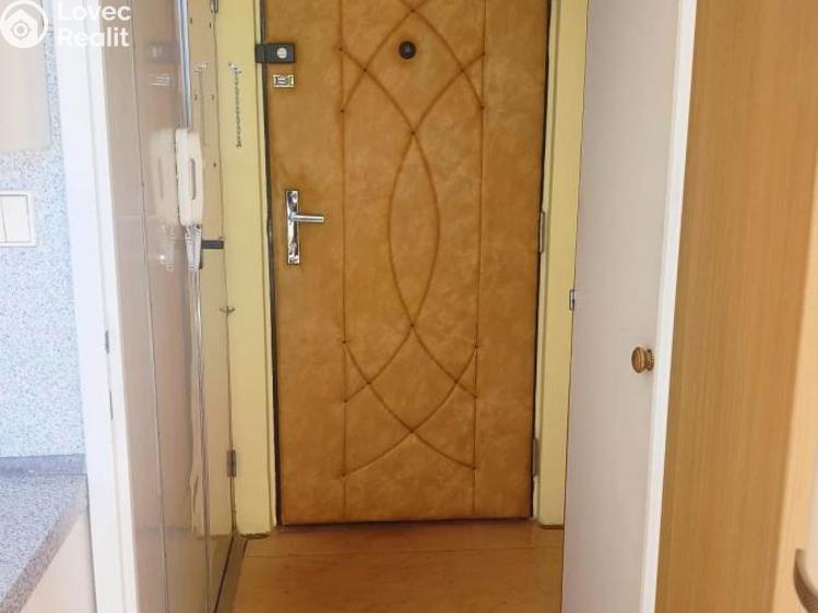 Rent apartment 1+1 Chomutov, Školní pěšina č. 3