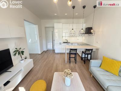 Pronájem bytu 2+KK Praha 5, Brožíkova č. 4