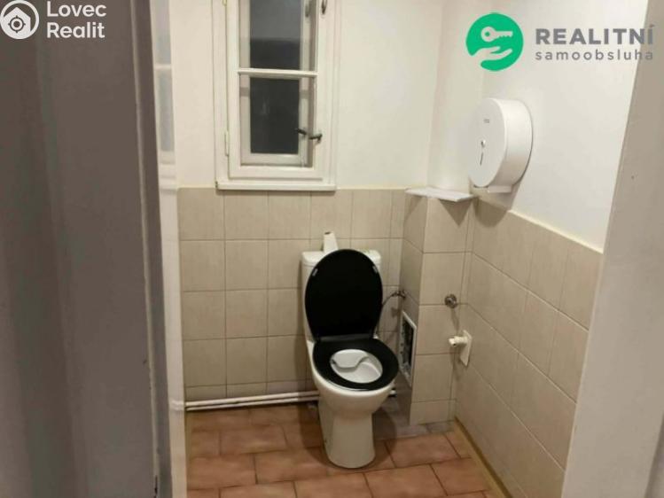 Pronájem bytu 3+1 Litoměřice, Tolstého č. 9