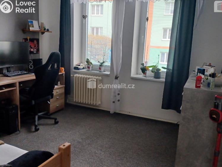 Prodej činžovního domu Děčín, Kamenická č. 4