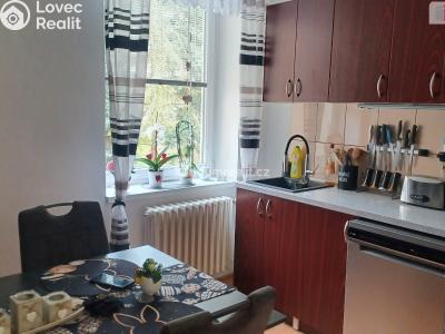 Prodej činžovního domu Děčín, Kamenická č. 3