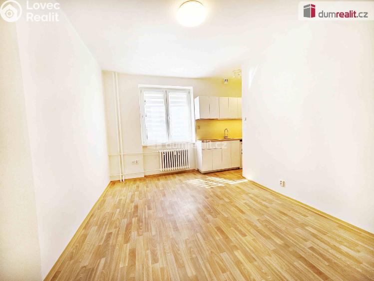 Pronájem bytu 1+KK Roudnice nad Labem, třída T. G. Masaryka č. 5