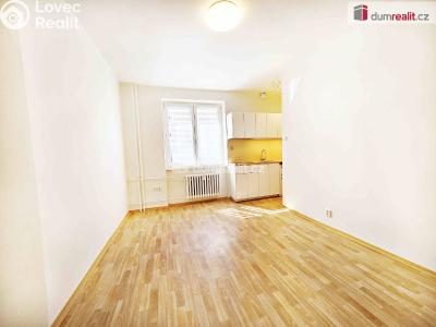 Pronájem bytu 1+KK Roudnice nad Labem, třída T. G. Masaryka č. 5