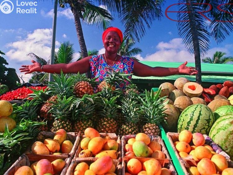 Prodej vily Imbert, Dominikánská republika č. 20