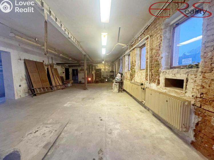 Prodej výrobní haly Držkov č. 6