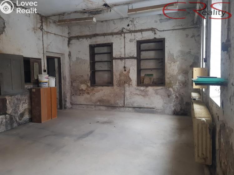 Prodej výrobní haly Držkov č. 7