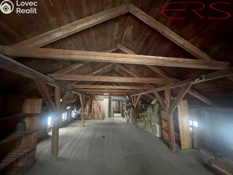 Prodej výrobní haly Držkov č. 8