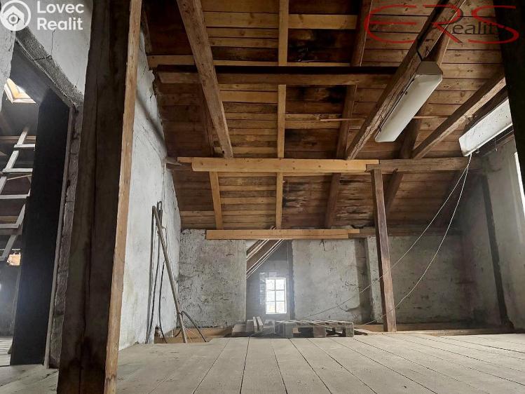 Prodej výrobní haly Držkov č. 11