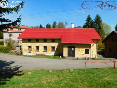 Prodej výrobní haly Držkov č. 1