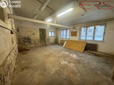 Prodej výrobní haly Držkov č. 5