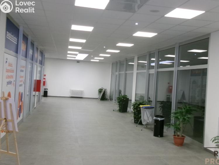 Pronájem obchodního prostoru Brno č. 3