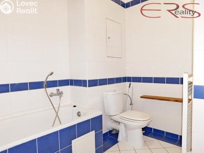 Prodej bytu 1+KK Liberec, Jeronýmova č. 6