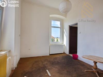 Prodej rodinného domu Radovesice č. 6