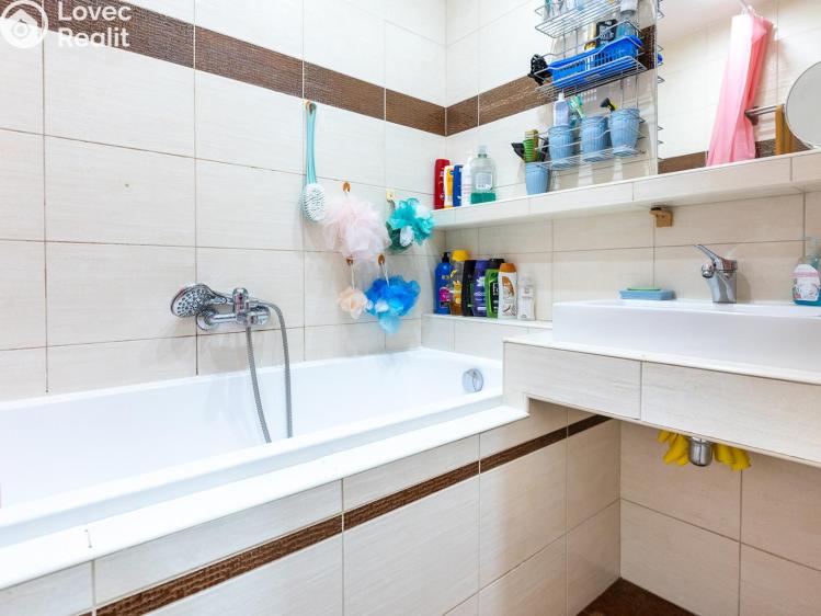 Pronájem bytu 4+KK Litoměřice, Družstevní č. 1