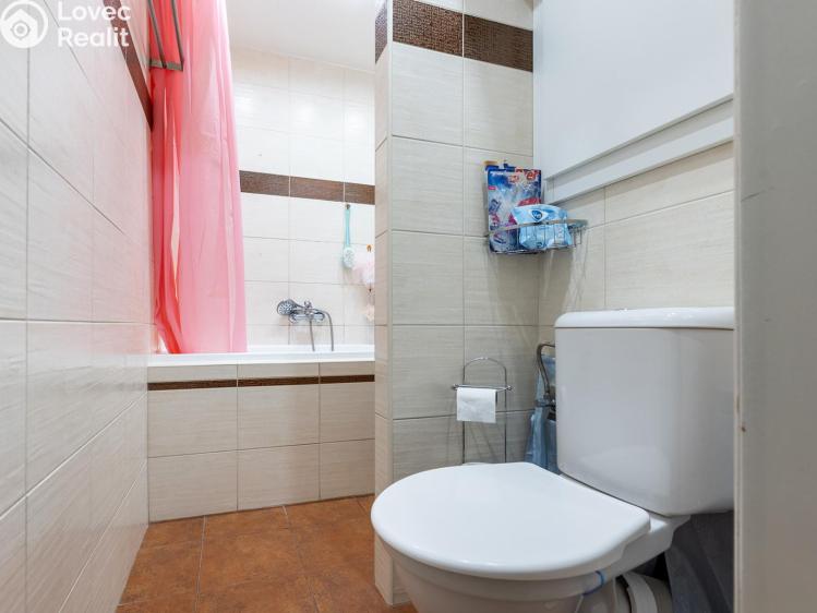 Pronájem bytu 4+KK Litoměřice, Družstevní č. 10