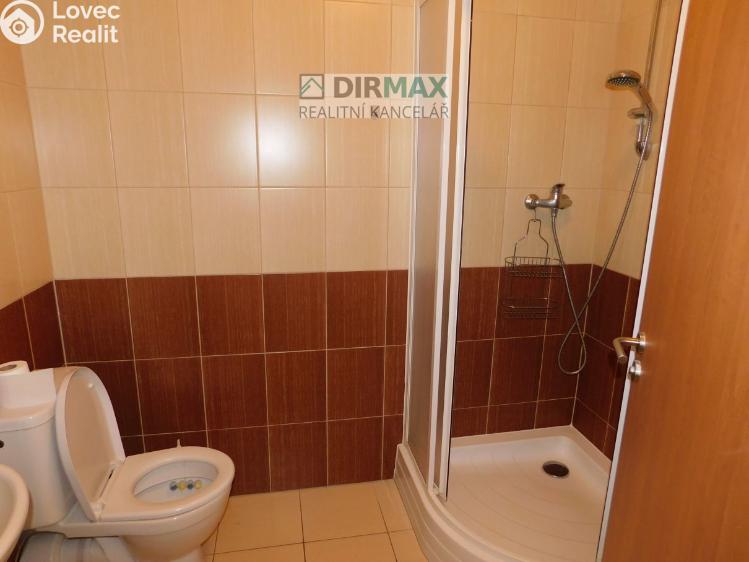 Pronájem bytu 1+KK Plzeň, Hřímalého 950/10 č. 4