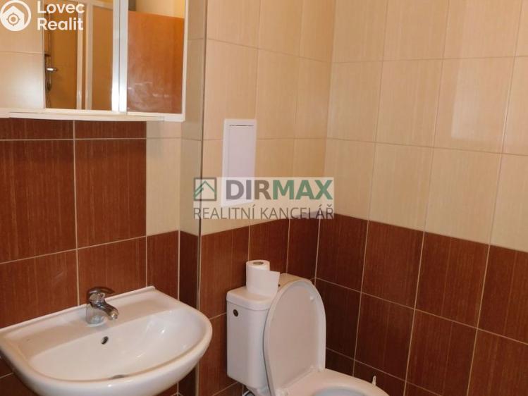 Pronájem bytu 1+KK Plzeň, Hřímalého 950/10 č. 5