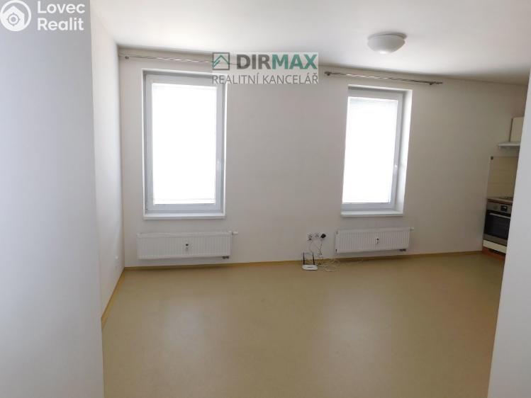 Pronájem bytu 1+KK Plzeň, Hřímalého 950/10 č. 7