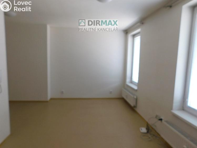 Pronájem bytu 1+KK Plzeň, Hřímalého 950/10 č. 9