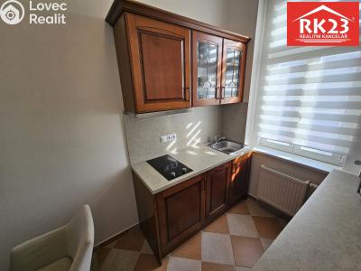 Prodej bytu 2+1 Mariánské Lázně, Ruská č. 11