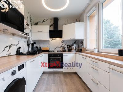 Оренда квартири 3+1 Bílina, Sídliště U Nového nádraží 704 č. 2