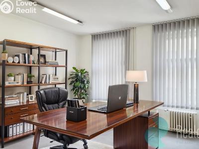 Pronájem kanceláře Praha, Opletalova č. 1