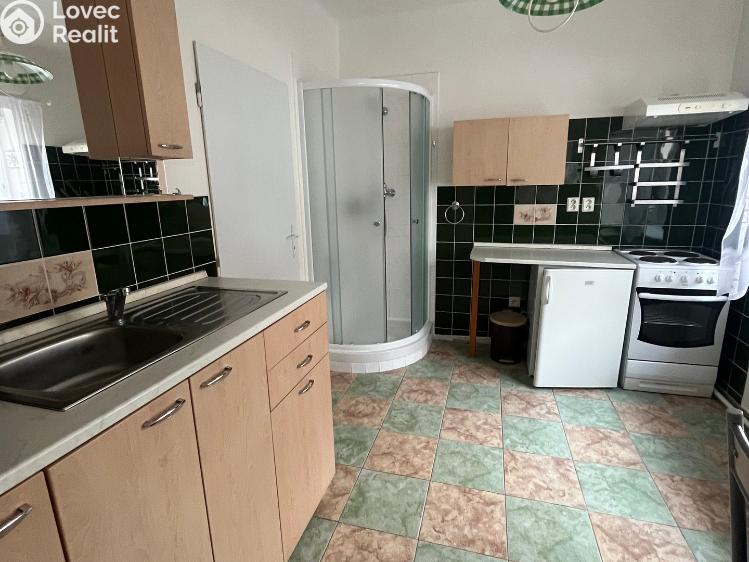 Аренда квартиры 1+1 Skalice u České Lípy č. 5