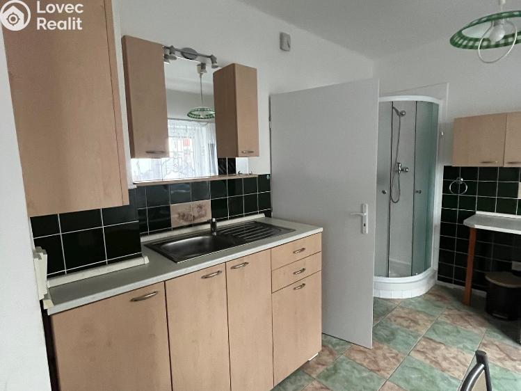 Аренда квартиры 1+1 Skalice u České Lípy č. 7