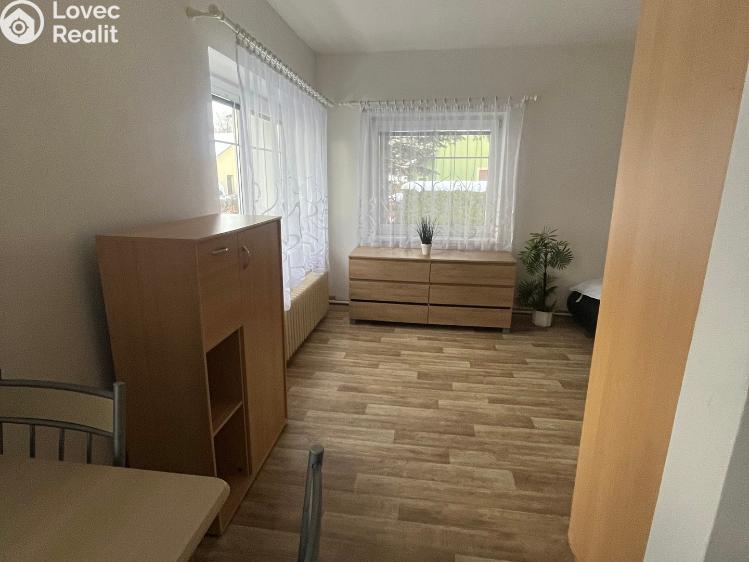 Аренда квартиры 1+1 Skalice u České Lípy č. 3