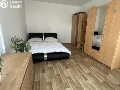 Rent apartment 1+1 Skalice u České Lípy č. 1