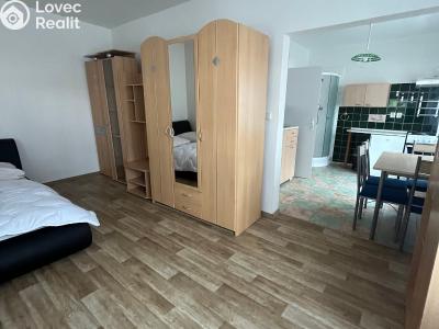 Rent apartment 1+1 Skalice u České Lípy č. 2