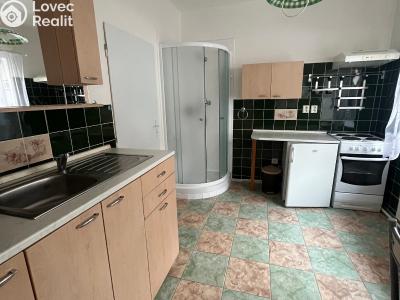 Rent apartment 1+1 Skalice u České Lípy č. 5