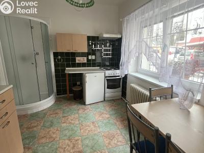 Rent apartment 1+1 Skalice u České Lípy č. 6