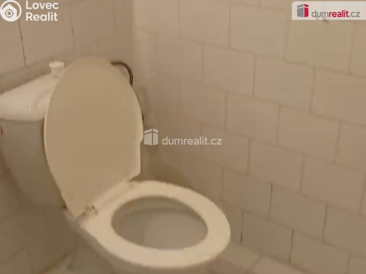 Pronájem bytu 1+KK Praha-Zbraslav, K výtopně č. 4