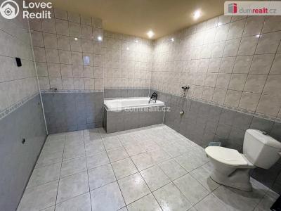 Pronájem obchodního prostoru Uherské Hradiště, Jižní č. 3