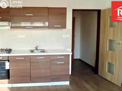 Rent apartment 1+1 Mariánské Lázně, Za Tratí č. 1