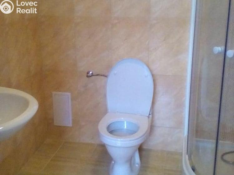 Pronájem bytu 1+1 Prostějov č. 6