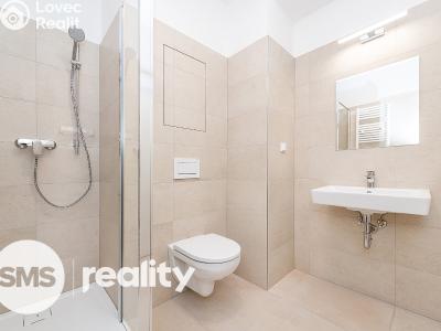 Pronájem bytu 2+KK Praha, Tomáškova č. 3