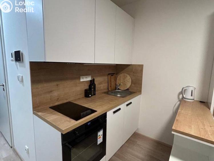 Pronájem bytu 1+KK Praha, Mozartova 942/10 č. 2