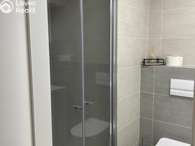 Rent apartment 1+KK Praha, Plzeňská č. 6